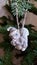 Christmas ornament is hanging from fir needle branch. Christmas tree decoration in shape of white squirrel in Santa`s hat