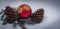 Christmas Ornament Still Life - Cones and Balls