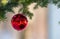 Christmas ornaments outdoors on pine tree.