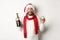 Christmas party and holidays concept. Happy bearded male model in Santa hat and red scarf, celebrating xmas, partying