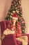 Christmas party, winter holidays woman with cat. New year girl. christmas tree in interior