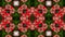 Christmas Pattern. Beautiful kaleidoscope background