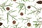 Christmas pattern with fir branches and pine cones on white background. Flat lay