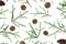 Christmas pattern of fir tree branches and pine cones on white background. Flat lay