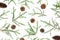 Christmas pattern of fir tree branches and pine cones on white. Flat lay