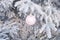 Christmas pink ball hangs on snow-covered spruce branch in the forest. Selective focus. Fairytale mood. Concept of Christmas and