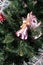 Christmas pink bells on artificial spruce branches