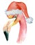 Christmas pink flamingo with winter decorations Santa hat