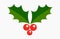 Christmas plant holly berries icon