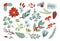 Christmas plant leaves, poinsettia flower, coniferous tree branches. Xmas wreath, botanical floral leaf decor collection