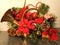 Christmas poinsettias, pine cones, evergreen, green vases, horn.   Wreath