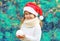 Christmas portrait smiling child little girl in santa red hat holding snowball near branch tree