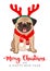 Christmas pug dog cartoon illustration. Cute friendly fat chubby