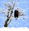 Christmas and a raven