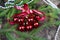 Christmas red balls on wooden background