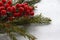 Christmas red berries decoration on the fir tree branches on gray surface. Christmas festive background