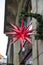 Christmas red big plastic traditional german star outdoor