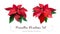 Christmas red poinsettia vector design set