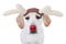 Christmas Rudolph Reindeer pet dog