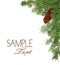 Christmas Rustic Image of Pine Tree Stems and a Pi