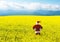 Christmas Santa Claus  in blooming yellow field.