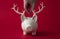 Christmas saving money box wearing festive reindeer antlers. Seasonal finance background