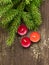 Christmas Scented Candles and Fir Tree Branches