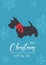Christmas Scottish terrier in hand drawn style. Greeting text Merry Christmas. Beautiful illustration for greeting cards, posters