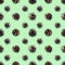Christmas seamless pattern. Pine cones isolated on a green background
