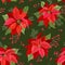 Christmas seamless pattern with Winter flower, Poinsettia, Mistletoe, branches of Rowan tree with Berries