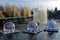 Christmas season snow globes on lake in Theme Park