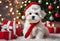 Christmas Secene. A maltese puppy dog wearing a Santa Claus hat