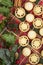 Christmas selection of mini mince pies and holly leaves