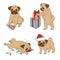 Christmas set with cute pugs.