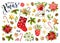 Christmas set design composition of poinsettia, fir branches, cones, holly and other plants. Cover, invitation, banner, greeting c