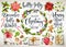 Christmas set design of poinsettia, fir branches, cones, holly and other plants. Cover, invitation, banner, greeting c