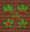 Christmas set holly berry branches on wooden backg