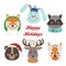 Christmas set with isolated face animals