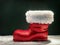 Christmas shoe