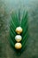 Christmas silver decorations adorn a palm tree branch.