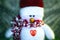 Christmas Snowman puppet with red hat and scarf under the snow.