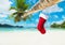 Christmas sock on palm tree at tropical ocean beach