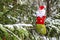 Christmas sock on the tree against the background of snow, all real. toy and santa stocking hanging on a branch covered with snow