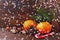 Christmas spirit: nuts, tangerines, Christmas tree