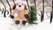 Christmas spirit. A soft toy on a sleigh. Christmas decorations in the snow