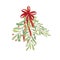 Christmas sprig of mistletoe. Illustration for greeting cards, i