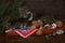 Christmas spruce branches and bumps, coffee, walnuts, candy and antique pocket watch on a dark wooden background.