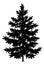 Christmas spruce fir tree silhouette