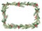 Christmas spruce frame. Green ilex leaves with bunch of red berries. Spruce, Fir, evergreen plant, Holly leaves. Copy space for