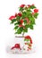 Christmas star gift box flowerpot